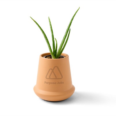 Modern Sprout® Modern Terracotta Grow Kit Aloe - Terracotta